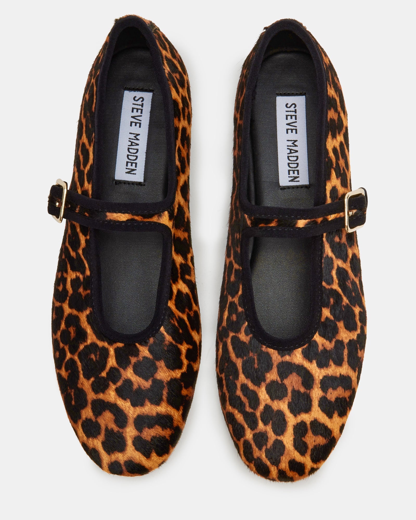 DREAMING LEOPARD - SM REBOOTED