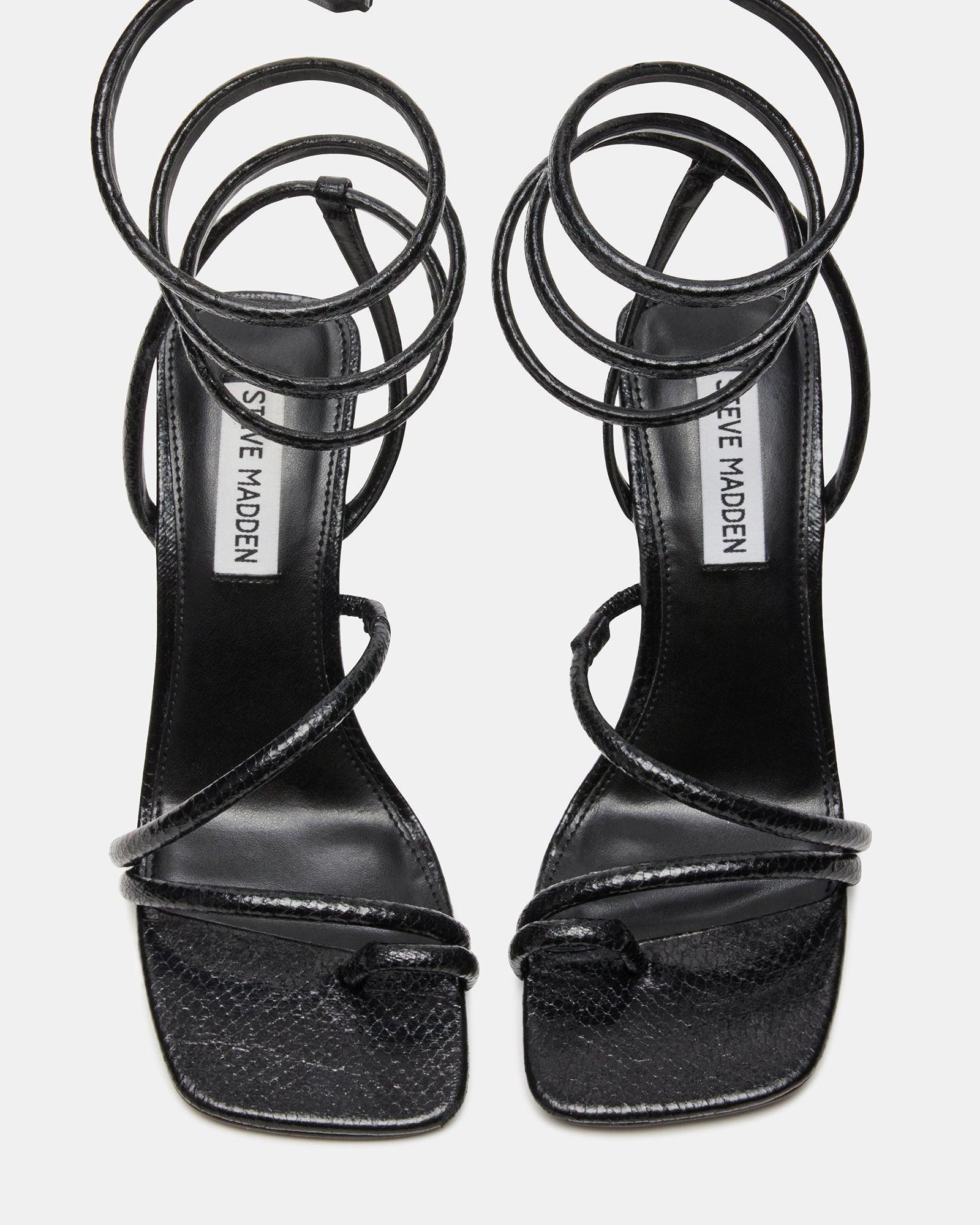 SHANTELLE BLACK - SM REBOOTED