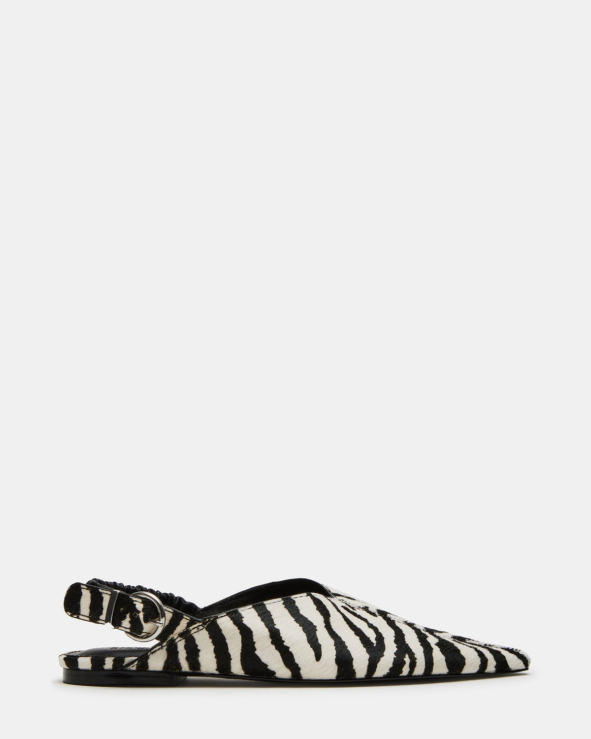 ZELLA ZEBRA - SM REBOOTED